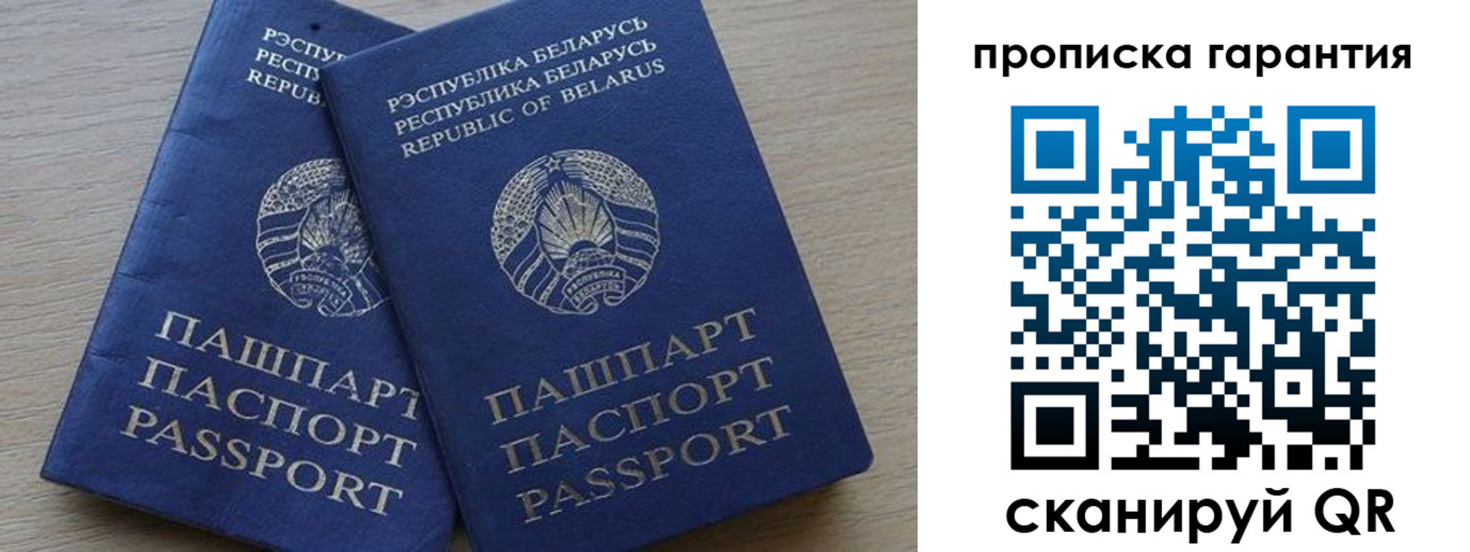 прописка гарантия в Ельне